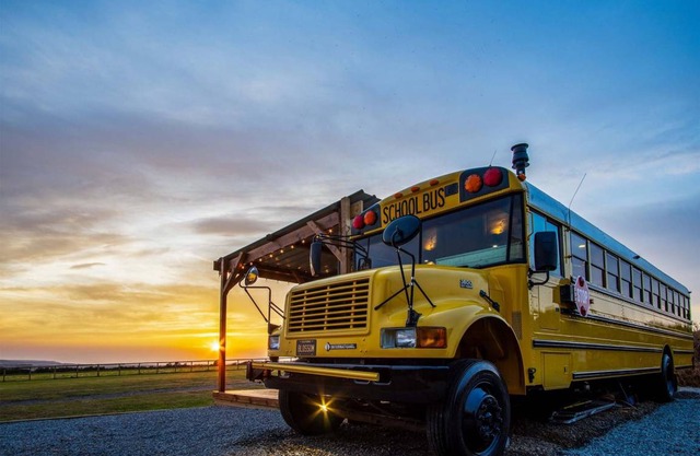 American School Bus Blossom Farm Tiers 