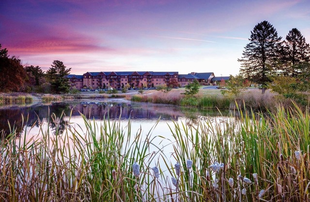 2BR/2BA Deluxe Suite - Free Waterpark Passes! Big Savings!