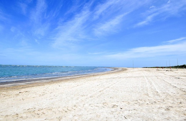 3 bedroom accommodation in Isola Albarella