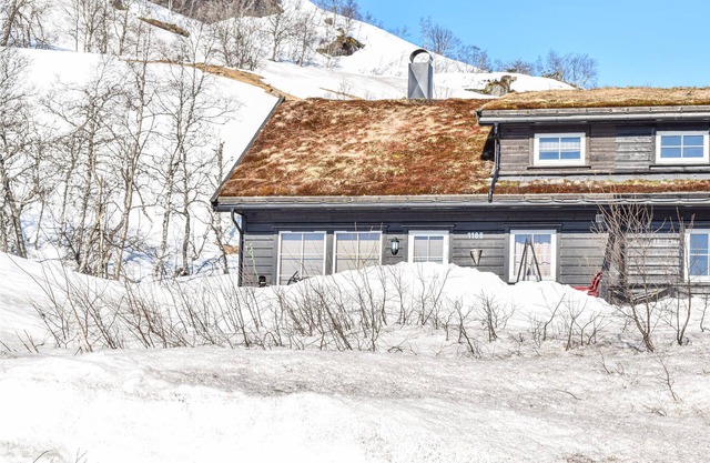 3 bedroom accommodation in Åseral