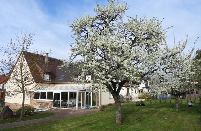 3 star villa/appartment in the heart of the vineyards with veranda and garden