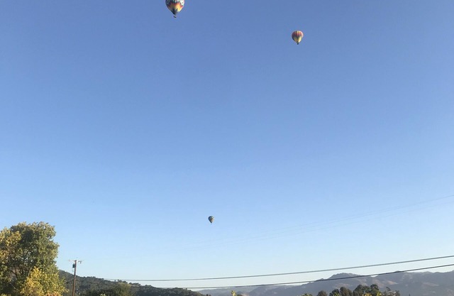 4 acre Vineyard home in North Napa