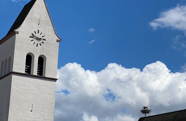 4*charm,near Colmar, Eguisheim,Riquewihr,wine route, garden, enclosed parking lot