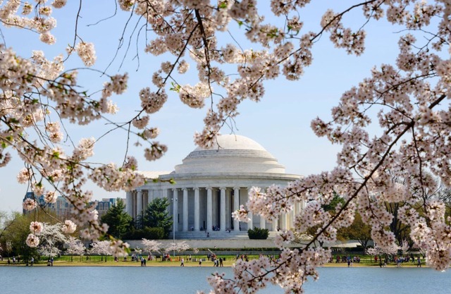 4 Units | Family Friendly DC Haven, Pets Allowed | Near Smithsonian & Memorials