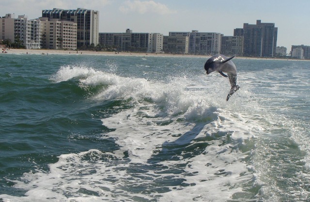 40% discount for Dec 2025-Gorgeous Hideaway on the Beach-Crescent Beach Club