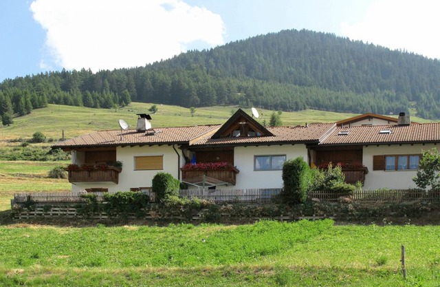 Steinwender 