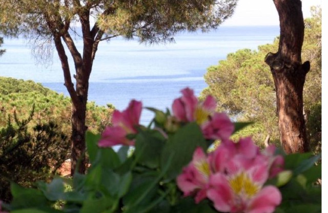 40 m² Apartment ∙ 2 bedrooms ∙ 4 guests