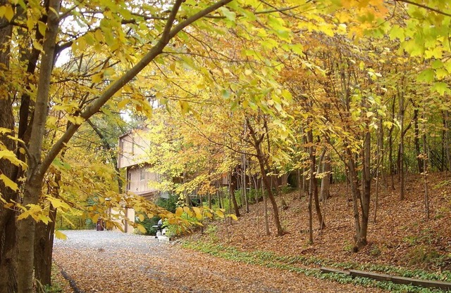 4500 sf executive home in Wayzata on 2 private acres