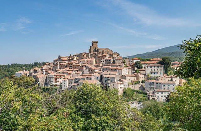 5 bedroom accommodation in Arcidosso