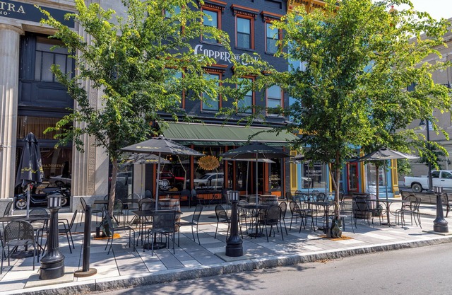 5 star 1-bedroom apartment with WiFi, AC in the heart of downtown Danville