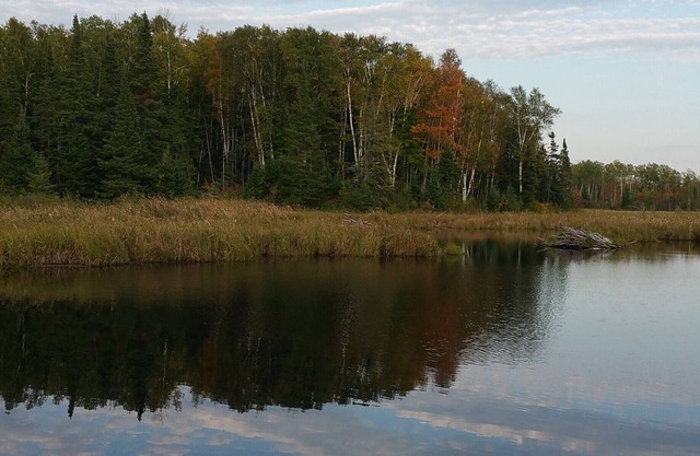 5 Unique Cabins And 2 Houses For A Large Group, Family Reunion, Or Wedding