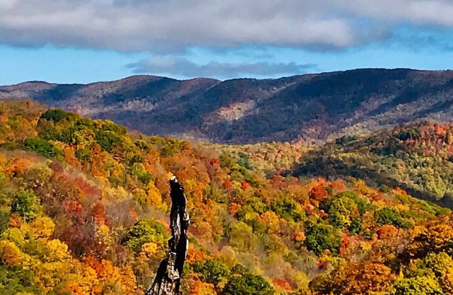 58 Acre home in the middle of 23,00 acre State Park