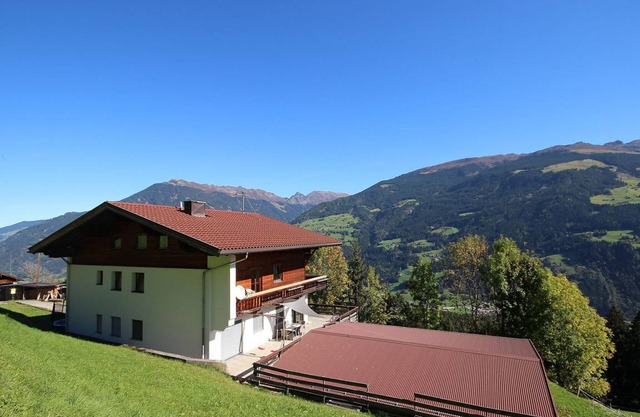 Dornauer 