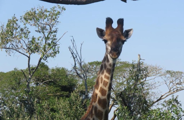 62 The Bridge Holiday Resort