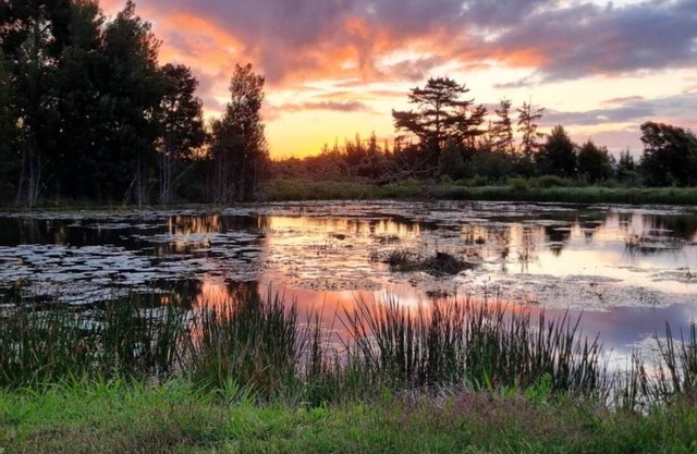 A 3-bedroom cottage full of old world charm and character in Rheenendal.
