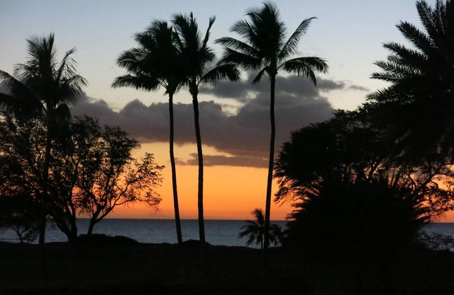 A Piece Of Paradise!