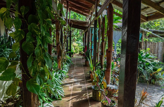 A unique tropical jungle experience amongst magical gardens and rainforest.