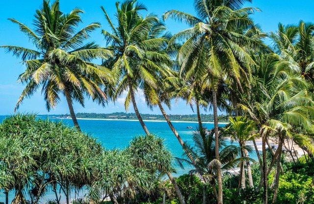 Aavya Cove Villas By Aahaasa