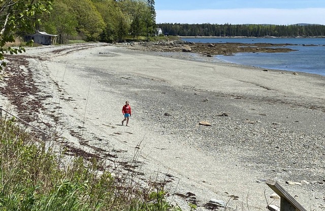 Acadia National Park Seaside Briar Rose by the Sea! Sleeps 15-15 min to Acadia!