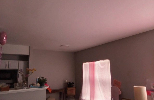 Adorable 1-bedroom apartment adorable