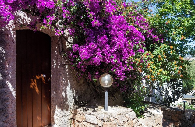 AHR Altura Hotel Porto Rafael