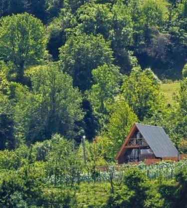 Alagi ალაგი