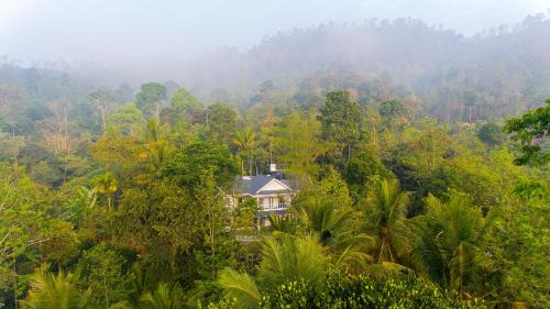 Alencherry plantation homestay