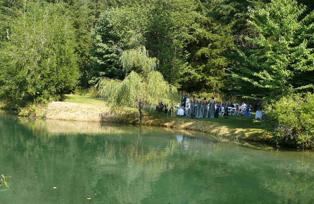 Alexander's Lodge At Mt Rainier (Breakfast Included, NO Pets)