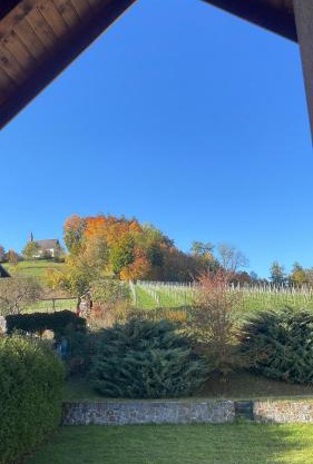 All Homes Apartments