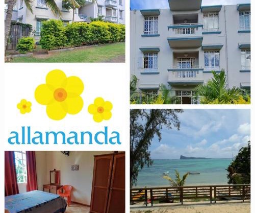 Allamanda Apartments - 100m Bain Boeuf Beach