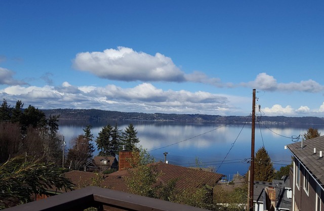 *Aloha Tiny House* Puget Sound Views