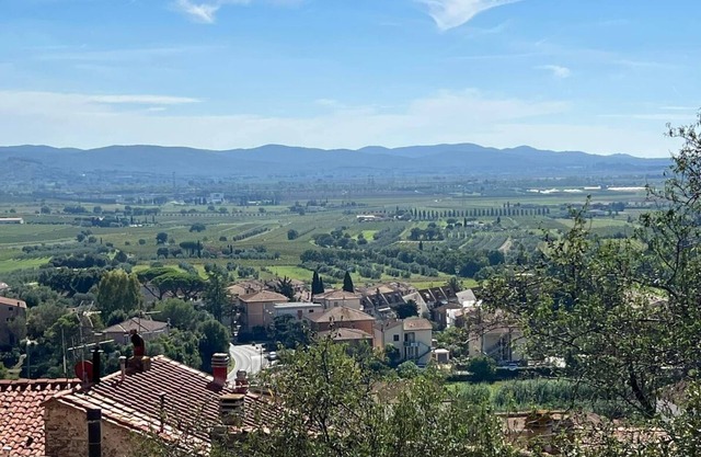 Alysha's Home : The 4 Senses Experience