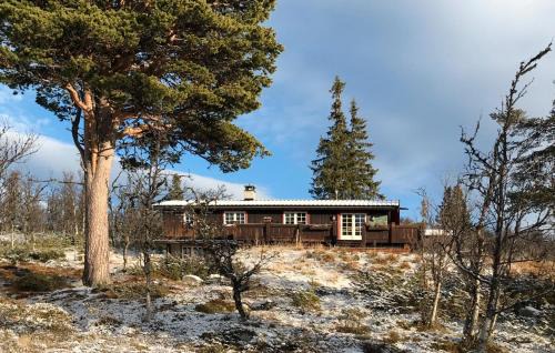 Amazing Home In Tunhovd With Sauna