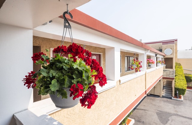 Americana Inn