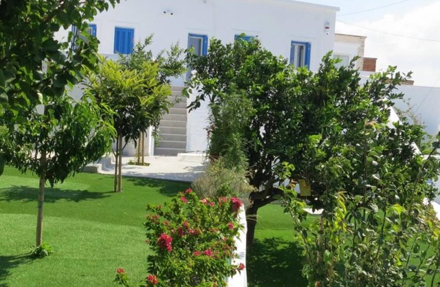 Andoni's House in Pitrofos Andros island