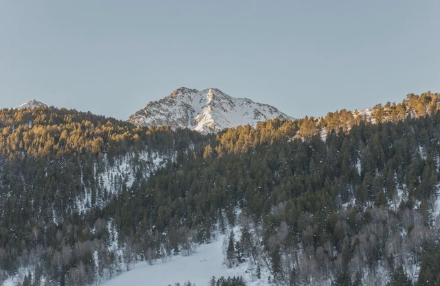 Andorra Bordes d'Envalira 5p 8p Standard