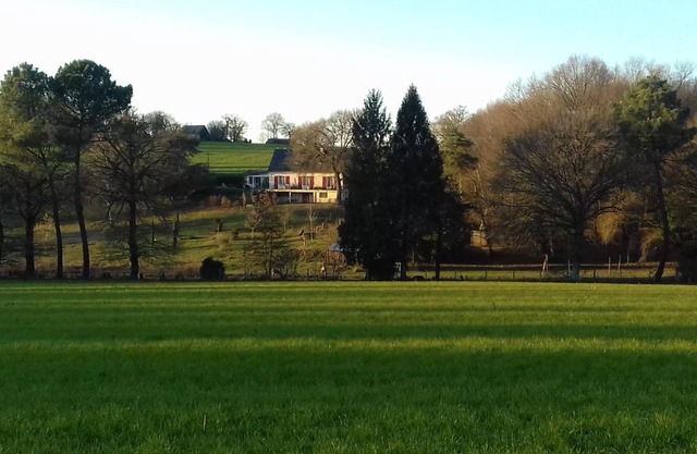 Angelina et ses animaux