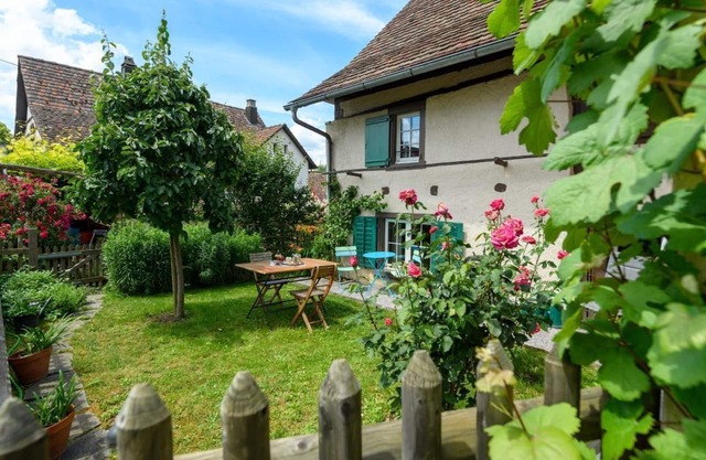 Anna Schmid Tree house