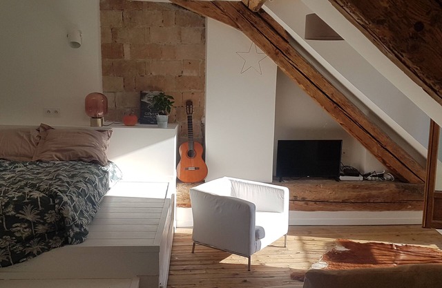 Annecy, loft attic, old town, 3mns from the lake, balcony