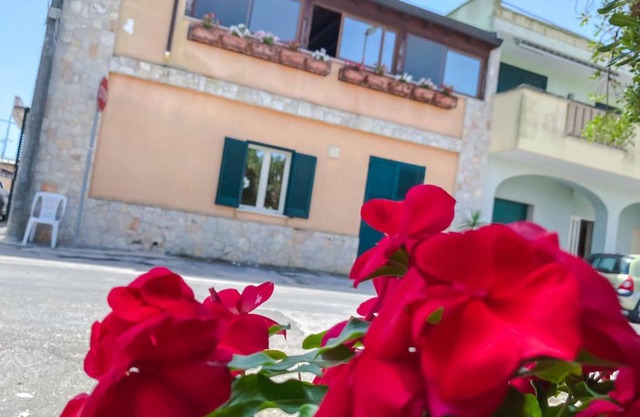 Aparthotel Cortellenica