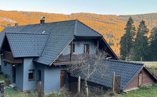 Apartmán U Vachtů - První Patro