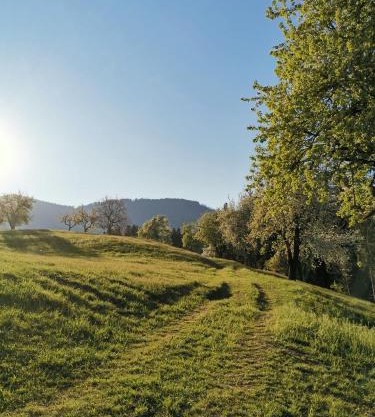 Apartma Lesjak - pobeg v naravo