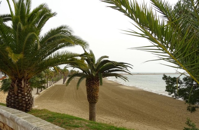 Apartment 5 minutes from Sant Carles de la Ràpita beach