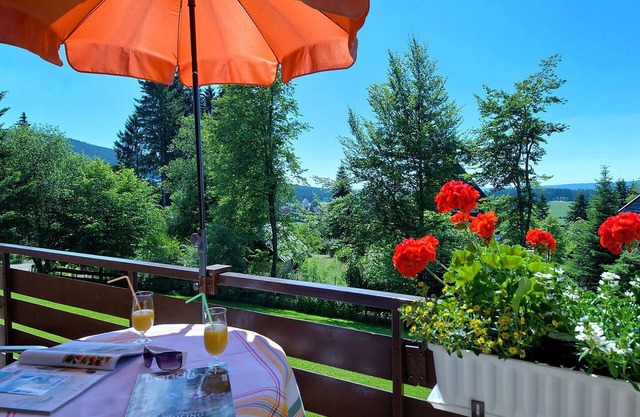 Apartment 'Fernblick' with Balcony and Wi-Fi