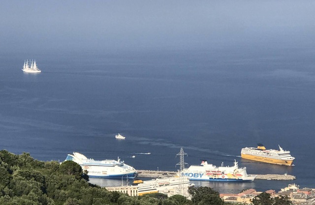 Apartment/flat - BASTIA/CARDO