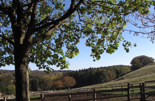 Apartment 'Hugo37 Am Bergpark' with Shared Garden and Wi-Fi