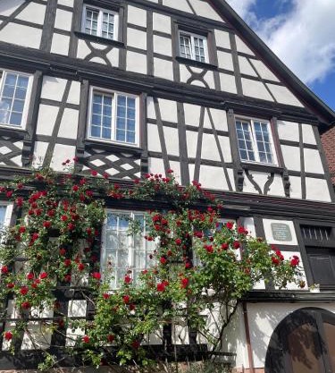 Apartment im Scheffelhaus