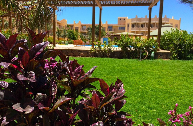 Apartment | in Tropical Resort | pool | close to beach