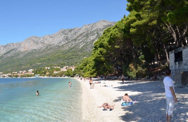 Apartment Jozo - 150 m from pebble beach: A3(2) - Gradac, Riviera Makarska, Croatia