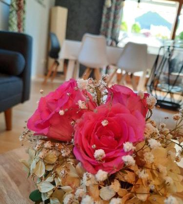 Apartment Kaminblick EuropaPark in ca 15 min erreichbar